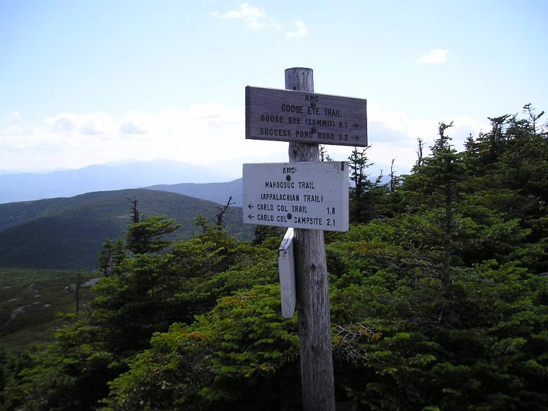 GooseEye (14).JPG - On our way up to the Goose Eye summit we passed the Carlo Col trail.